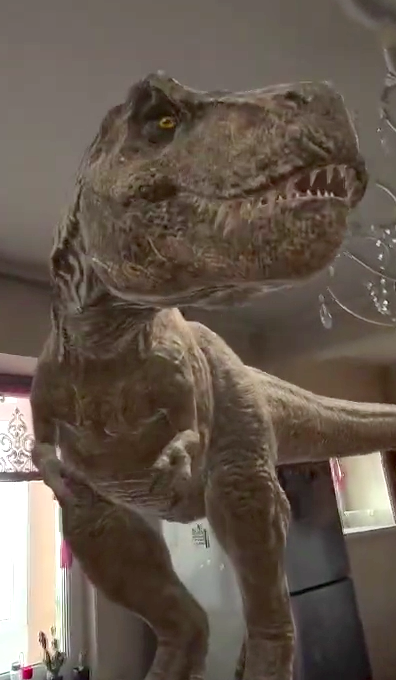 Museum VR video